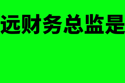 财务软件加盟费多少钱(财务软件需要多少钱)