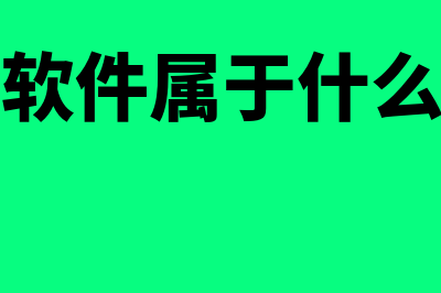 财务软件属于哪个费用(财务软件属于什么类别)