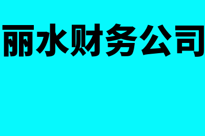 丽水财务软件哪个好(丽水财务公司)