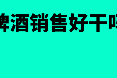 啤酒销售用哪个财务软件好(啤酒销售好干吗)