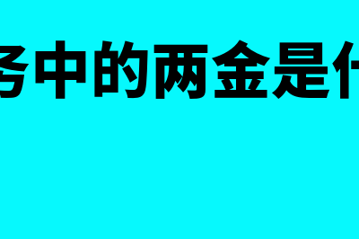 财务两金是什么意思?(财务中的两金是什么)