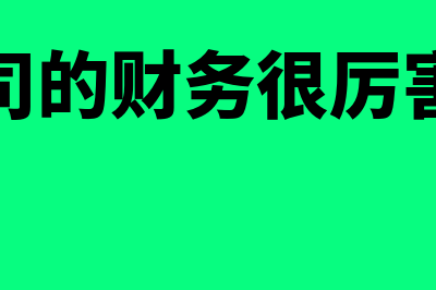 你们公司的财务软件多少钱(公司的财务很厉害吗)