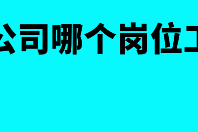 一般财务软件上线要多少钱(一般财务软件上是什么)