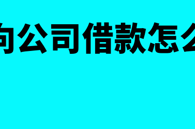 个人向公司借款应该怎么做账?(个人向公司借款怎么做账)