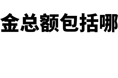 财务软件和网络版哪个好(财务软件网络版)