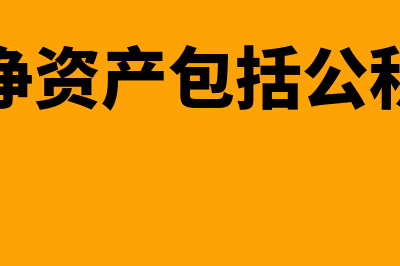 公司净资产包括什么内容?(公司净资产包括公积金吗)