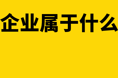 a6财务软件每年交年费多少(a6做账软件多少钱)