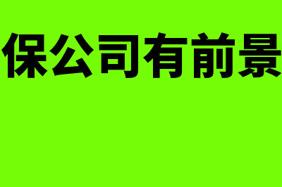 担保公司哪个财务软件好(担保公司有前景吗)