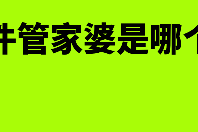 财务软件管家婆是哪个公司的