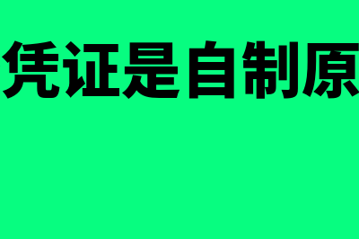 汇总原始凭证是什么意思?(汇总原始凭证是自制原始凭证吗)