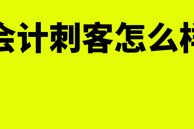 会计刺客是什么?(会计刺客怎么样)