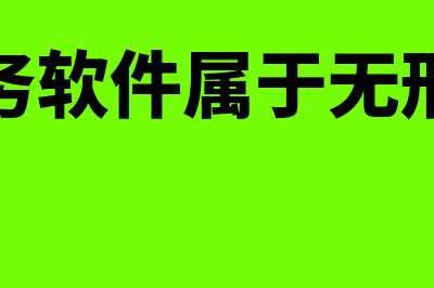 购买财务软件属于哪个现金流(购买财务软件属于无形资产吗)