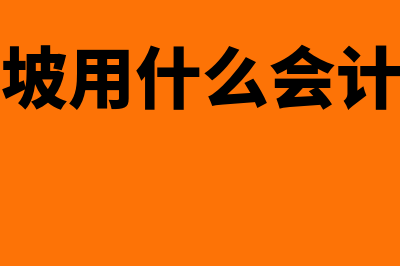 新加坡套财务软件多少钱(新加坡用什么会计准则)