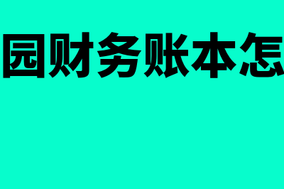 幼儿园财务软件多少钱(幼儿园财务账本怎么做)