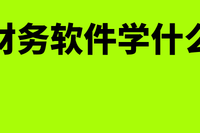 实操财务软件学哪个(实操财务软件学什么内容)