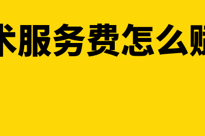 技术服务费怎么写会计分录?(技术服务费怎么赋码)