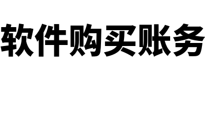 购买财务软件系统要多少钱(财务软件购买账务处理)