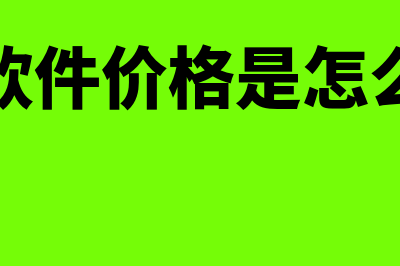 财务软件价格是多少(财务软件价格是怎么算的)