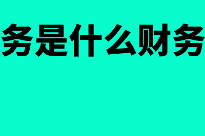 净债务是什么?(净债务是什么财务指标)