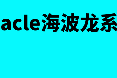 海波龙财务软件多少钱(oracle海波龙系统)