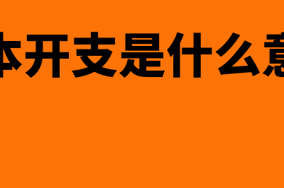 开支是什么意思?(资本开支是什么意思)