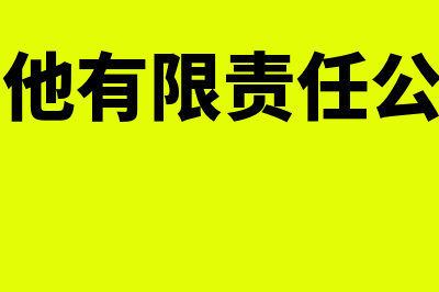 其他应收款在借方代表什么意思?(其他应收款在借方什么意思)