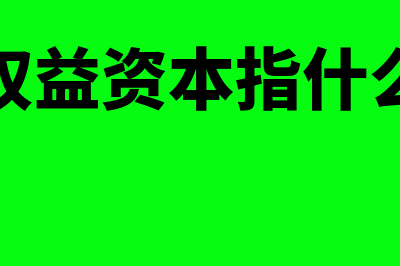 权益性无形资产是什么?