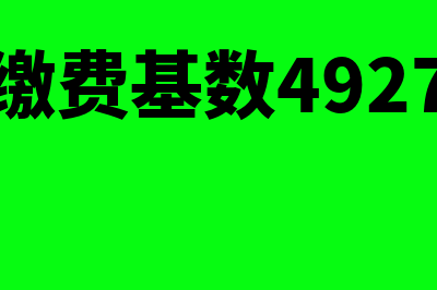 社保是什么?(社保是什么意思?)