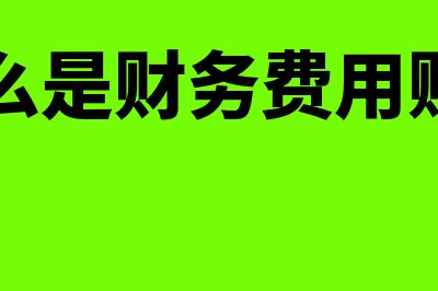 什么是财务负责人?(财务负责啥)