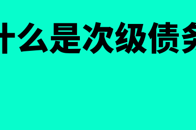 什么是次级债?(什么是次级债务)