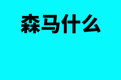 森马用的是哪个财务软件(森马什么)