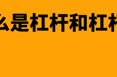 什么是杠杆和杠杆率?(什么是杠杆和杠杆率)