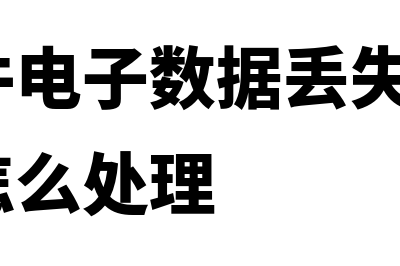 财务软件和电子账哪个好(财务软件电子数据丢失 没有往来明细怎么处理)