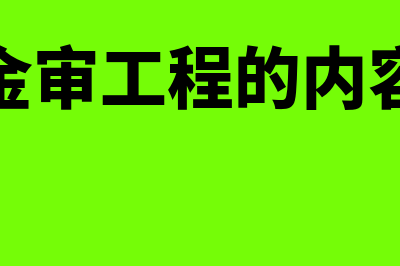 什么是金审工程?(金审工程的内容)