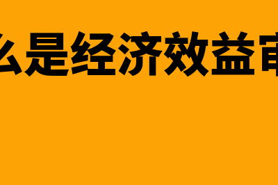 什么是经济效益审计?(什么是经济效益审计)