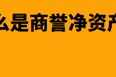 什么是商誉?(什么是商誉净资产比)