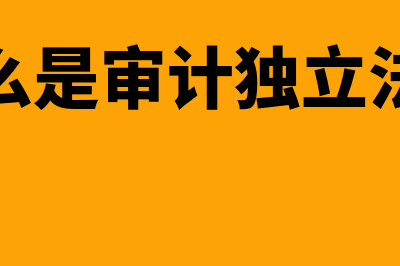 什么是审计独立性?(什么是审计独立法人)