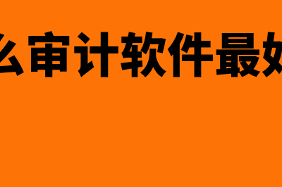 什么是审计软件?(什么审计软件最好用)