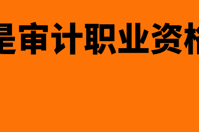 什么是审计职业风险?(什么是审计职业资格证书)