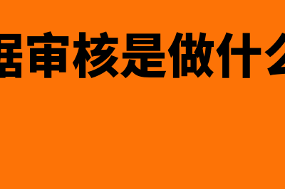 什么是数据式审计?(数据审核是做什么的)