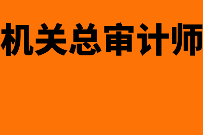 审计机关总审计师任职条件?(审计机关总审计师取消)