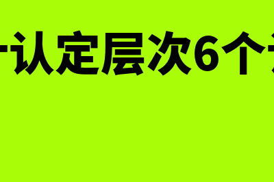 审计认定有哪些?(审计认定层次6个认定)