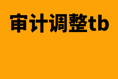 审计调整是什么?(审计调整tb)