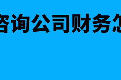 工程咨询公司财务软件哪个好(工程咨询公司财务怎么做)