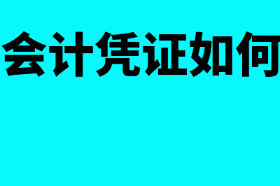 手工凭证与财务软件哪个好(手工会计凭证如何填写)