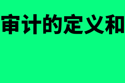 网络审计的定义?(网络审计的定义和特征)