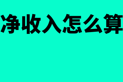 销售净收入是怎么计算的?(销售净收入怎么算公式)