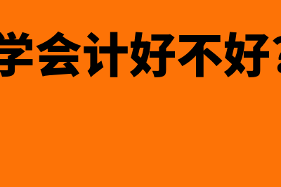 去财务软件公司工作怎么样(做财务软件赚钱吗)