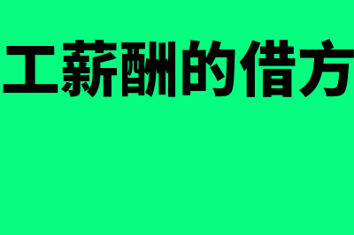 应付职工薪酬借方余额表示什么?(应付职工薪酬借方表示增加吗)