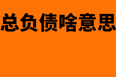 总负债是什么意思?(总负债啥意思)